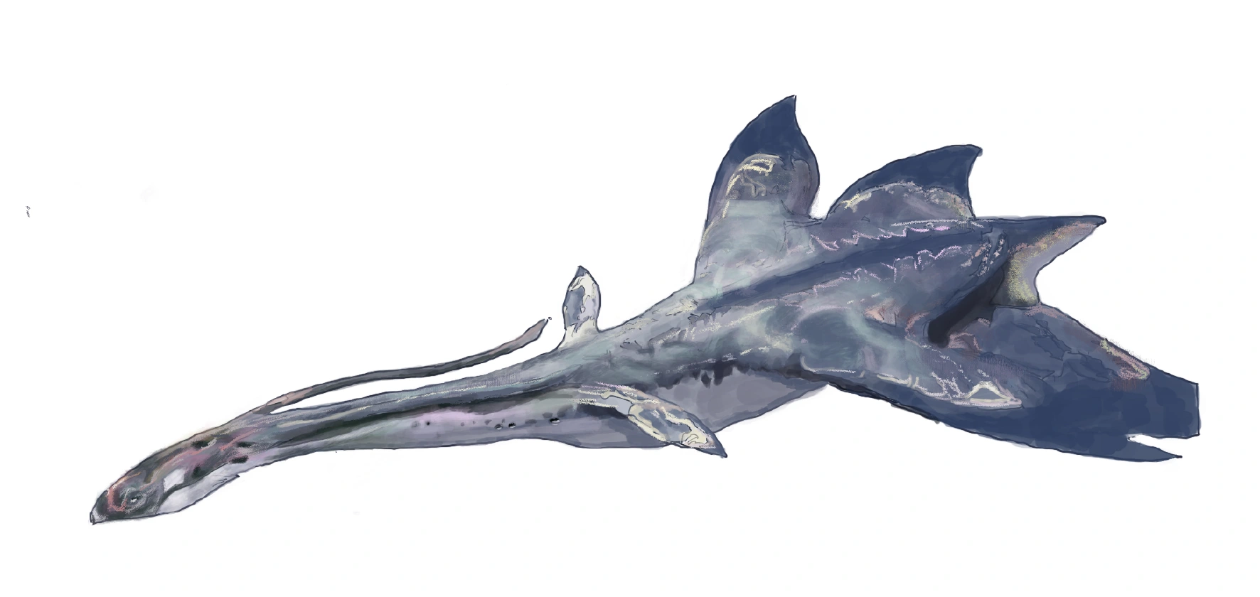 蓝灰色生物原画