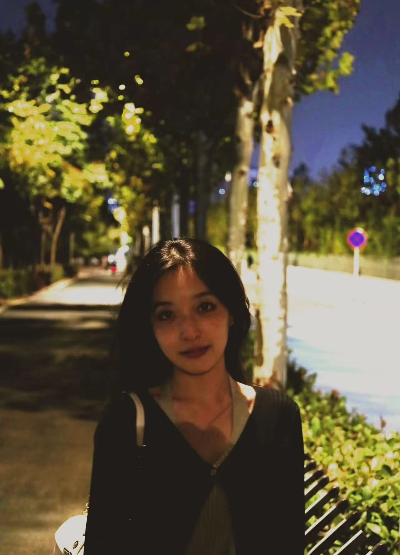 树影与路灯中的人像