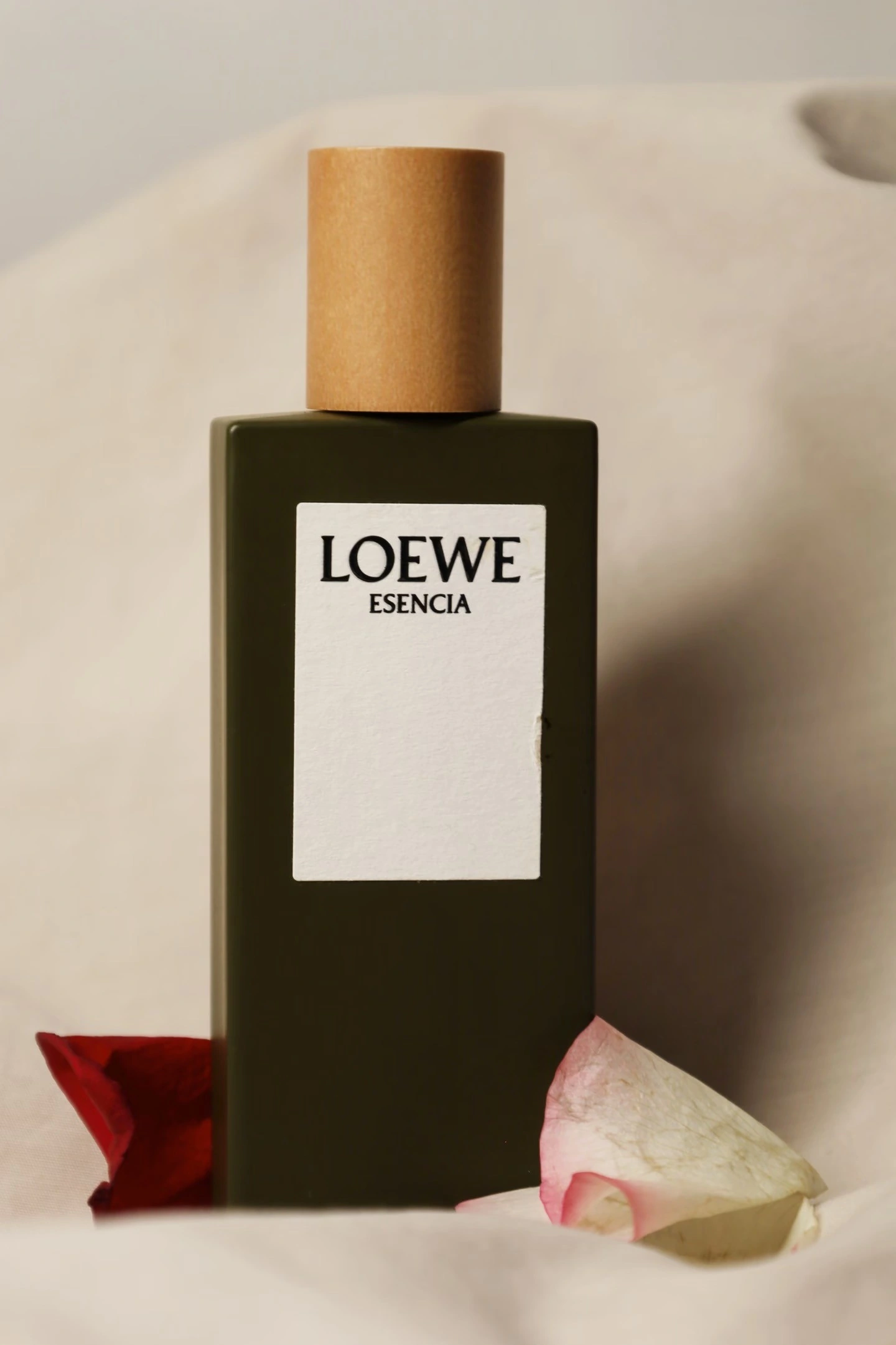 LOEWE 香水产品主视觉